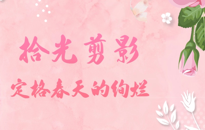 拾光剪影 定格春天的绚烂