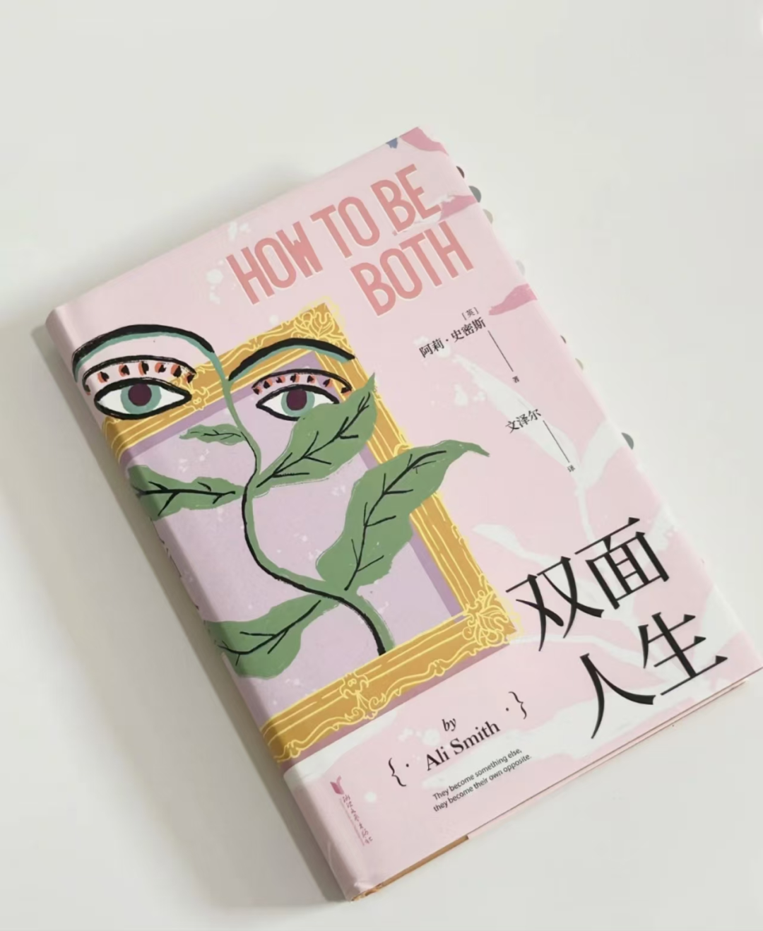 书林漫步 经典共享 | 学生荐书：《双面人生》