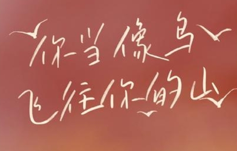 书林漫步 经典共享|学生荐书:《你当像鸟飞往你的山》